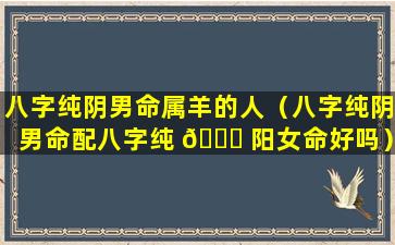 八字纯阴男命属羊的人（八字纯阴男命配八字纯 🐈 阳女命好吗）